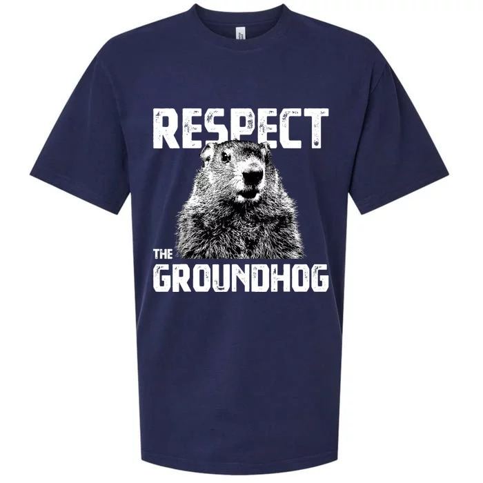 Respect The Groundhog Funny Woodchuck Sueded Cloud Jersey T-Shirt