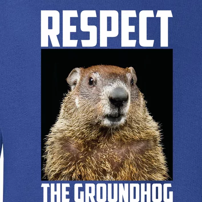 Respect The Groundhog Woodchuck Photo Ground Hog Day Toddler Sweatshirt