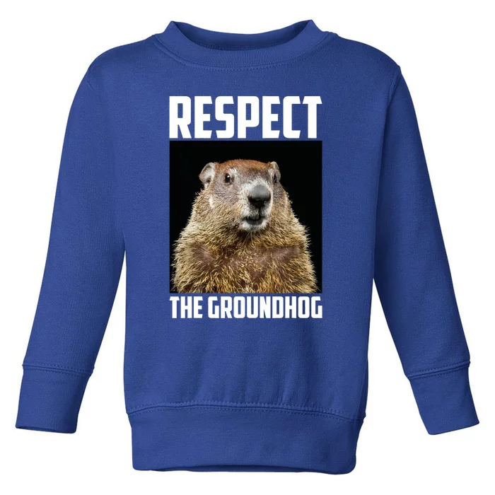 Respect The Groundhog Woodchuck Photo Ground Hog Day Toddler Sweatshirt