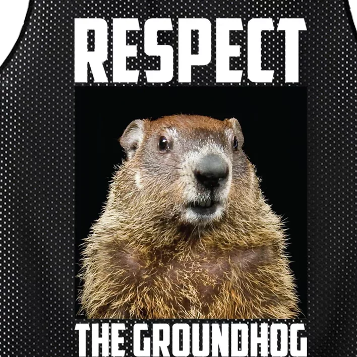 Respect The Groundhog Day Funny Rodent Gift Mesh Reversible Basketball Jersey Tank