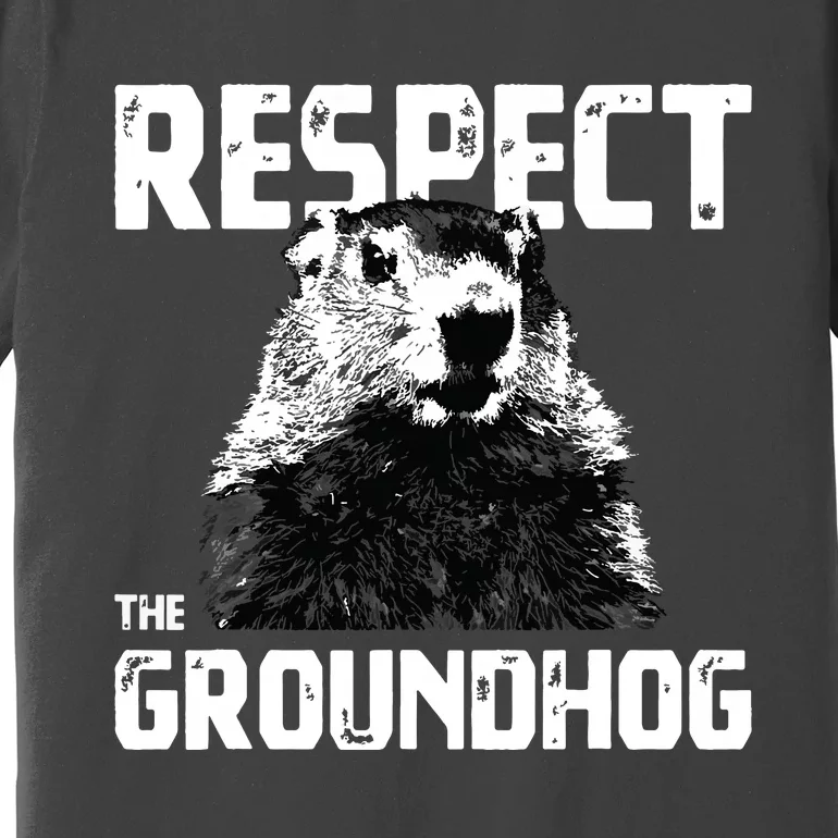 Respect The Groundhog Funny Woodchuck Premium T-Shirt