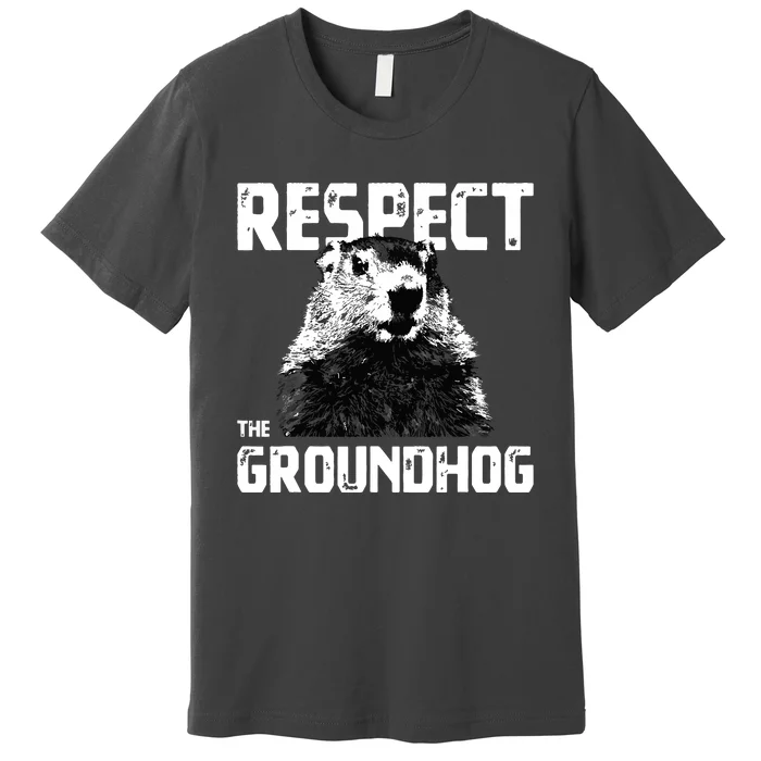 Respect The Groundhog Funny Woodchuck Premium T-Shirt