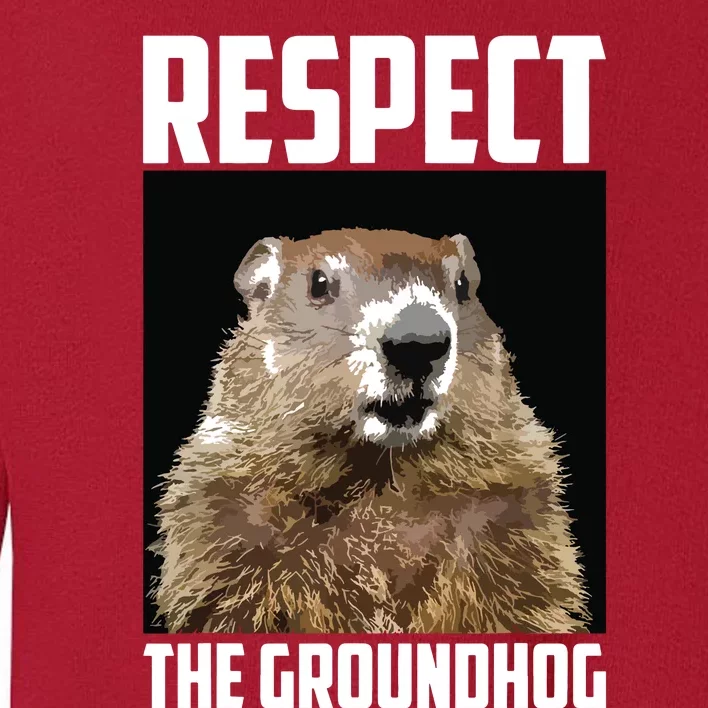 Respect The Groundhog Woodchuck Photo Groundhog Day Toddler Sweatshirt