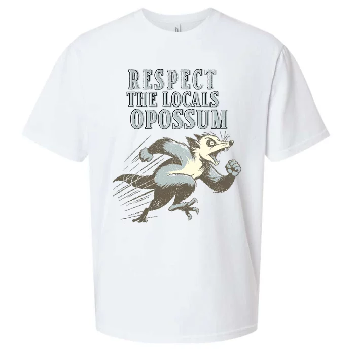 Respect The Local Opossum Sueded Cloud Jersey T-Shirt