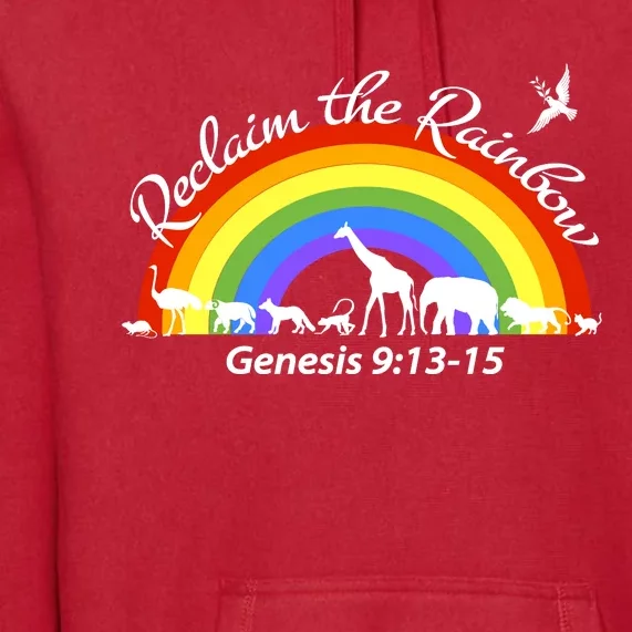 Reclaim The Rainbow: Gods Promise Premium Hoodie