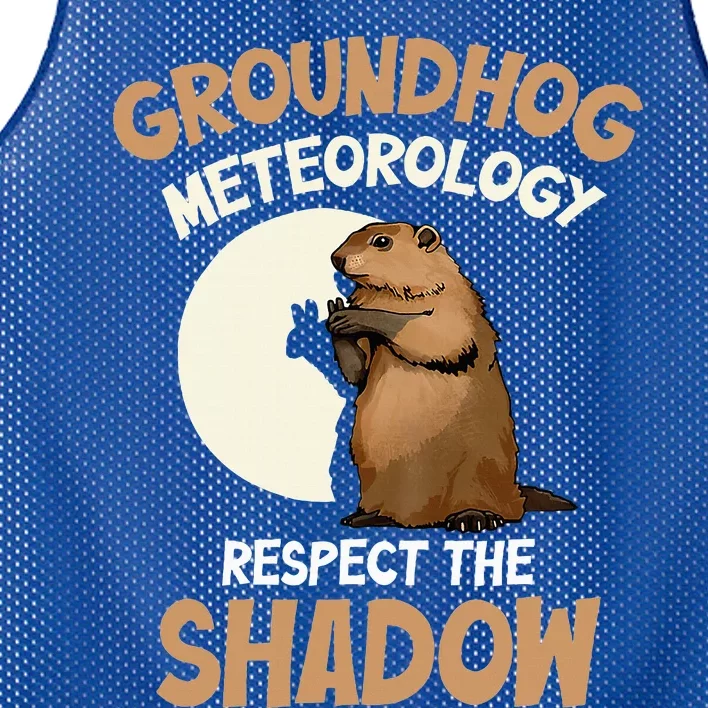 Respect The Shadow Meteorology Funny Groundhog Day Mesh Reversible Basketball Jersey Tank