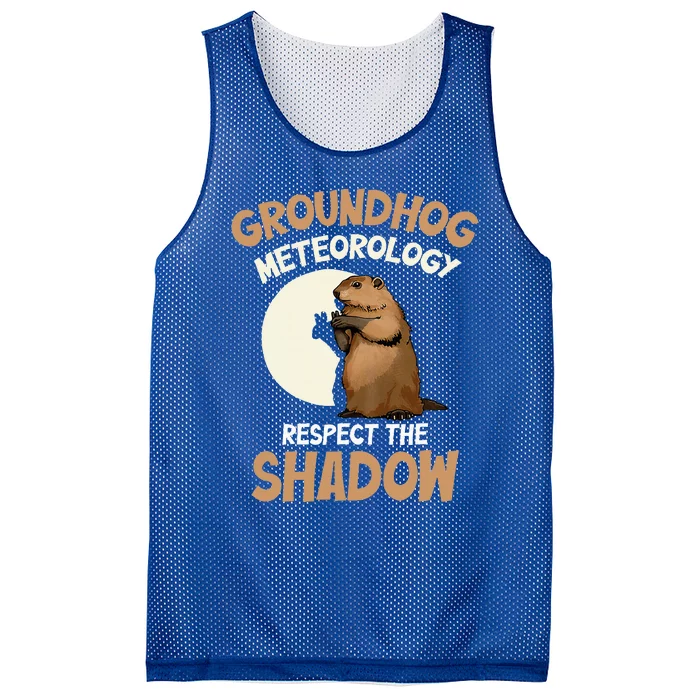 Respect The Shadow Meteorology Funny Groundhog Day Mesh Reversible Basketball Jersey Tank