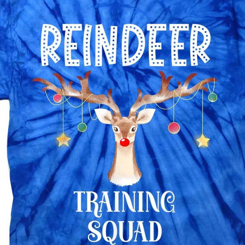 Reindeer Training Squad Funny Christmas Matching Family Gift Tie-Dye T-Shirt