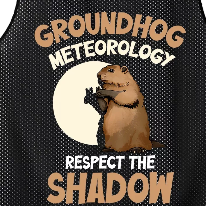 Respect The Shadow Meteorology Funny Groundhog Day Mesh Reversible Basketball Jersey Tank