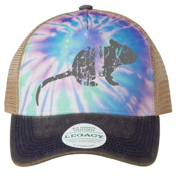 Rat Vintage Design Rat Print Legacy Tie Dye Trucker Hat