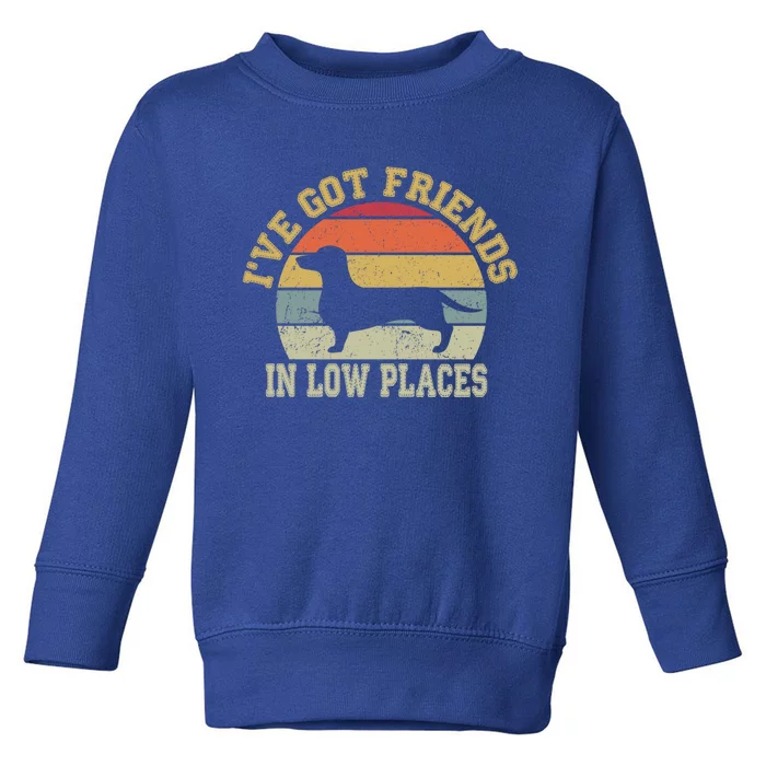 Retro Vintage Dachshund I've Got Friends In Low Place Gift Toddler Sweatshirt