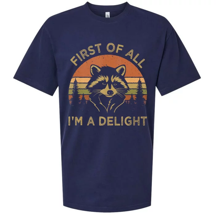 Retro Vintage First Of All IM A Delight Funny Raccoon Sueded Cloud Jersey T-Shirt