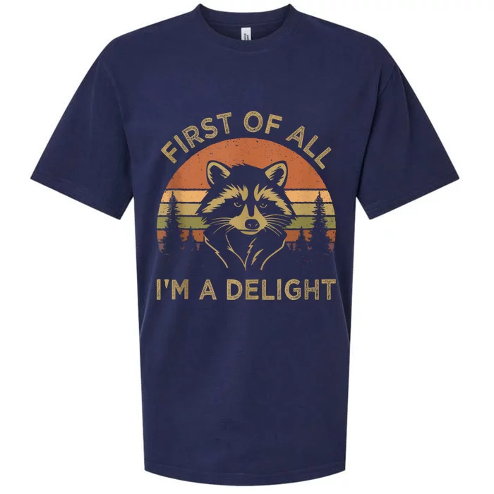 Retro Vintage First Of All IM A Delight Funny Raccoon Sueded Cloud Jersey T-Shirt