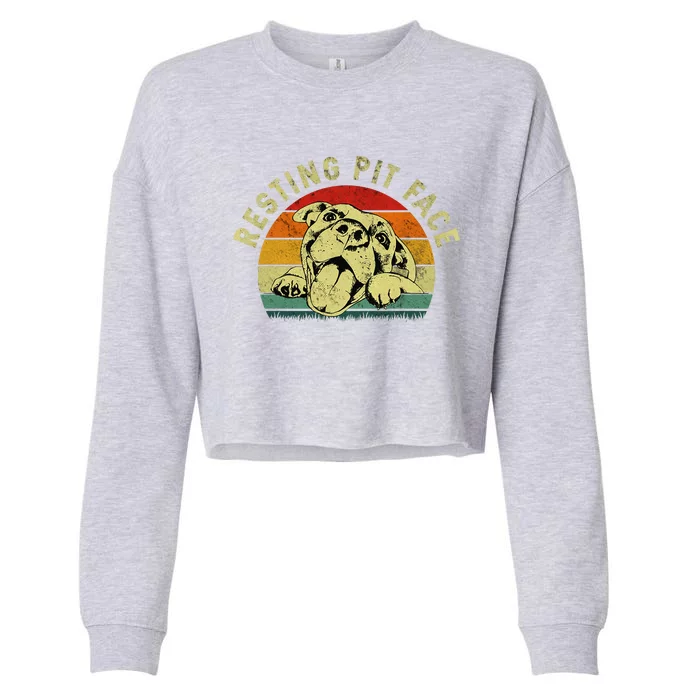 Retro Vintage Resting Pit Face Pitbull Funny Dog Lovers Gift Cropped Pullover Crew