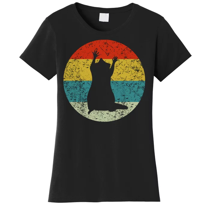 Retro Vintage Raccoon Women's T-Shirt