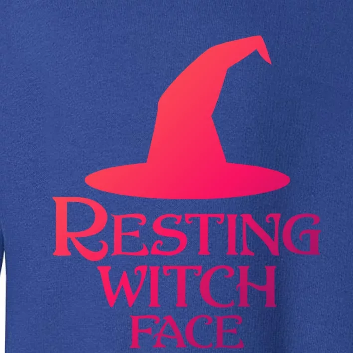 Resting Witch Face Silly Halloween Gift Toddler Sweatshirt