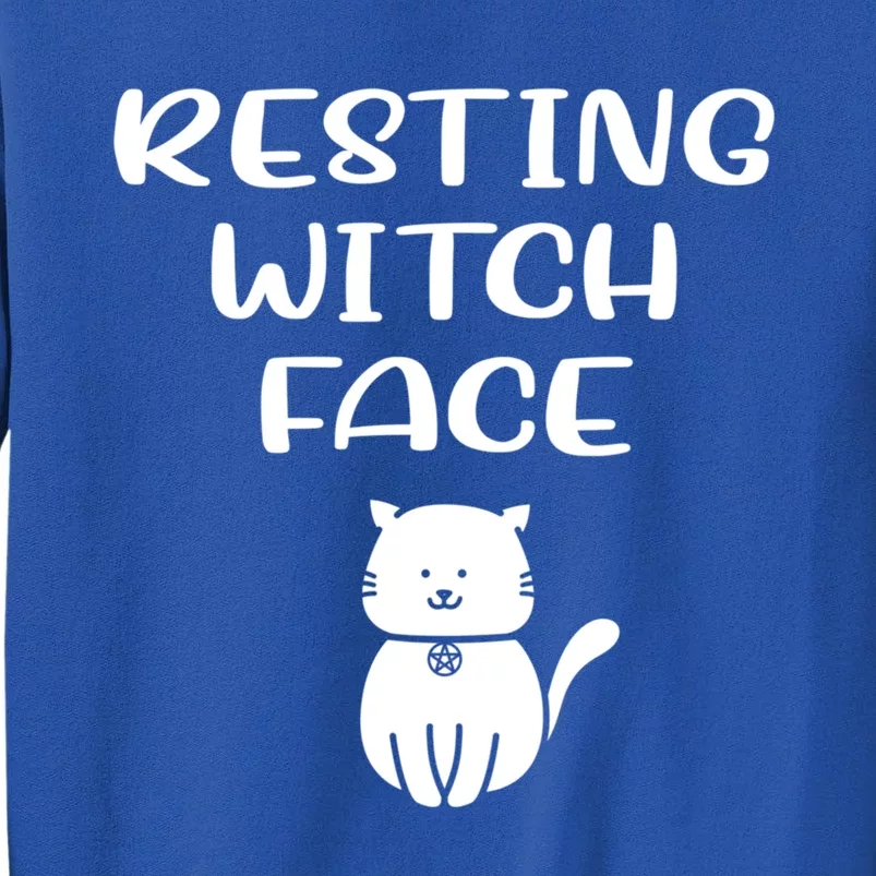 Resting Witch Face Pentacle Cat Wiccan Pagan Cheeky Witch Meaningful Gift Sweatshirt