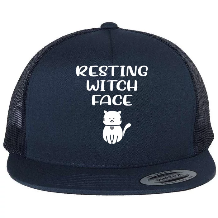 Resting Witch Face Pentacle Cat Wiccan Pagan Cheeky Witch Meaningful Gift Flat Bill Trucker Hat