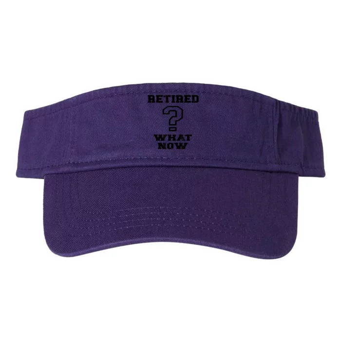 Retired What Now After Retirement Funny Valucap Bio-Washed Visor