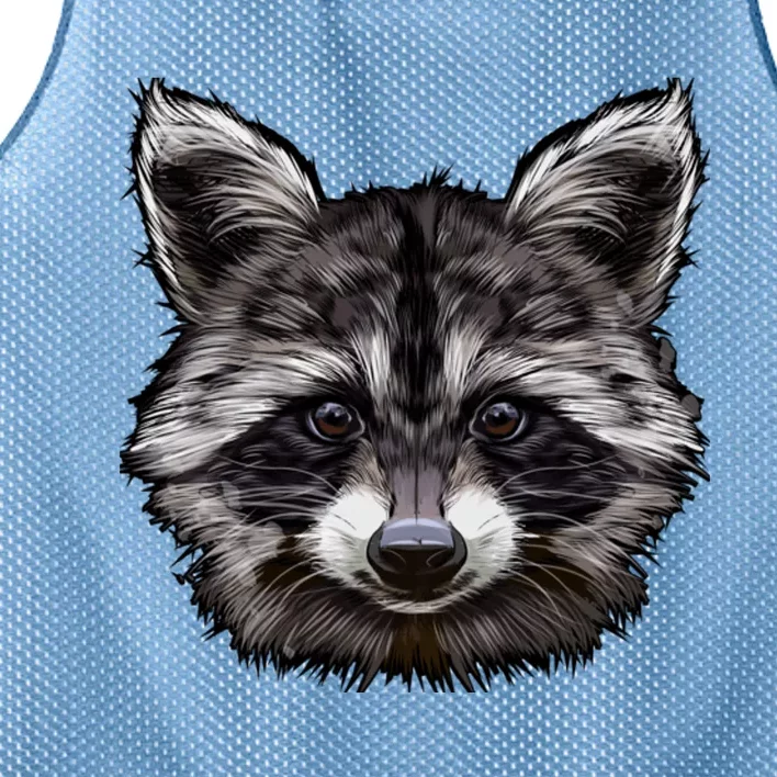 Raccoon Whisperer Raccoons Raccoon Lover Raccoon Mesh Reversible Basketball Jersey Tank