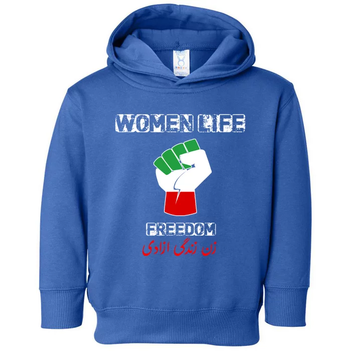 Rise With The Of Iran Life Freedom Iranian Flag Gift Toddler Hoodie