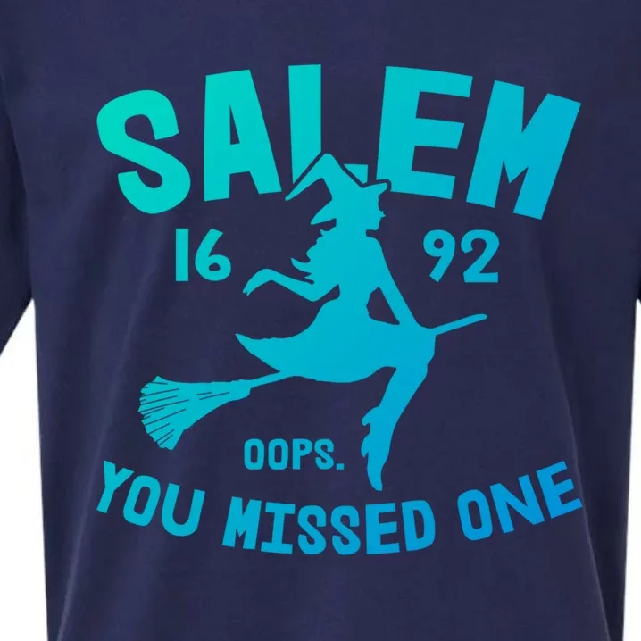 Salem 1692 You Missed One Witch On Broom Halloween Gift Sueded Cloud Jersey T-Shirt