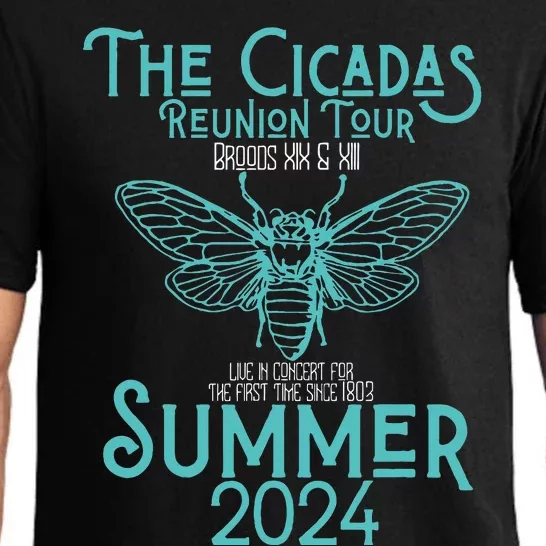 Summer 2024 Insect The Cicada Reunion Broods Xix & Xiii Pajama Set