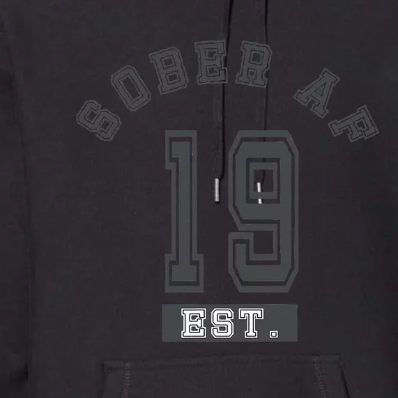 Sober Af 2019 Fun College Sport Aa Na Premium Hoodie