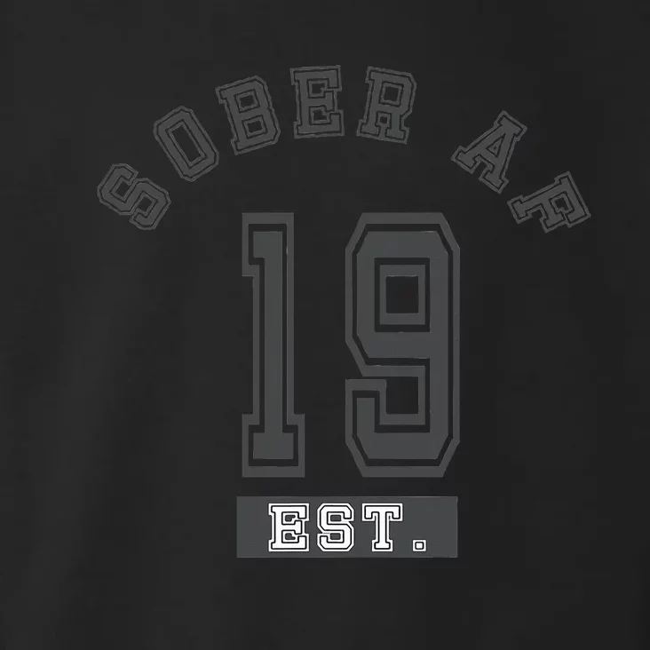 Sober Af 2019 Fun College Sport Aa Na Toddler Hoodie