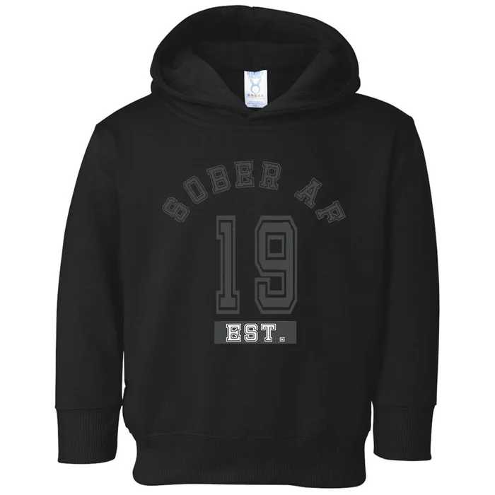 Sober Af 2019 Fun College Sport Aa Na Toddler Hoodie