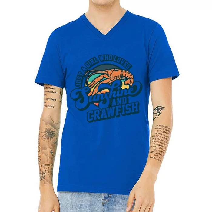 Sunshine And Crawfish Boil Retro Cajun Seafood Festival Meaningful Gift V-Neck T-Shirt