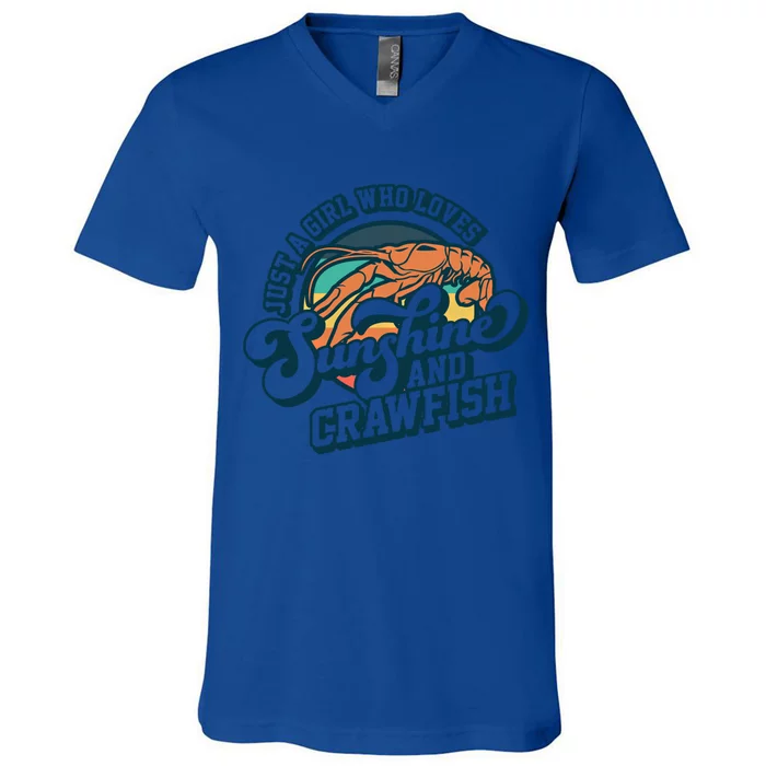 Sunshine And Crawfish Boil Retro Cajun Seafood Festival Meaningful Gift V-Neck T-Shirt