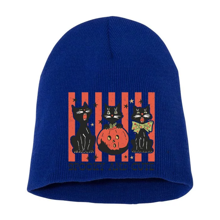 Spooky And Cute Black Cat Lover Vintage Halloween Ghost Cats Cool Gift Short Acrylic Beanie