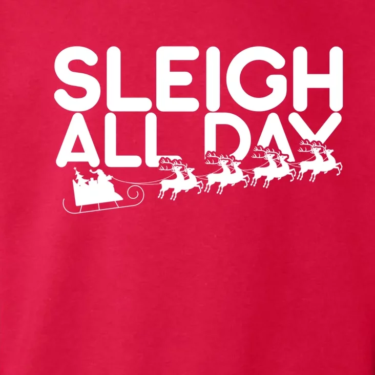 Sleigh All Day Toddler Hoodie