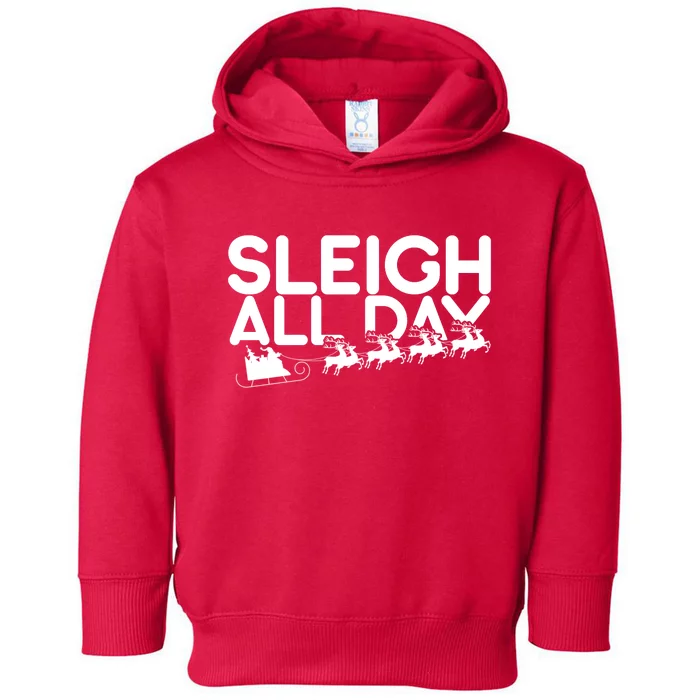 Sleigh All Day Toddler Hoodie