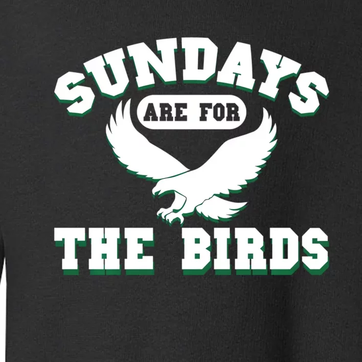 Sundays Are For The Birds Football Philadelphia Toddler Sweatshirt