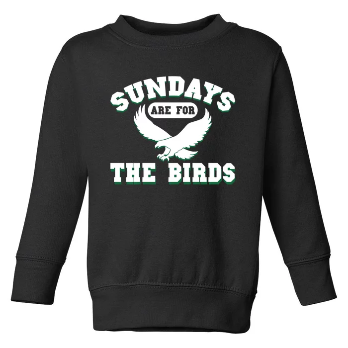 Sundays Are For The Birds Football Philadelphia Toddler Sweatshirt