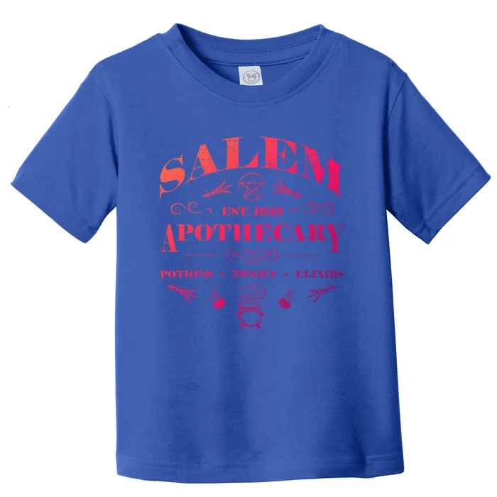 Salem Apothecary Funny Gift Toddler T-Shirt