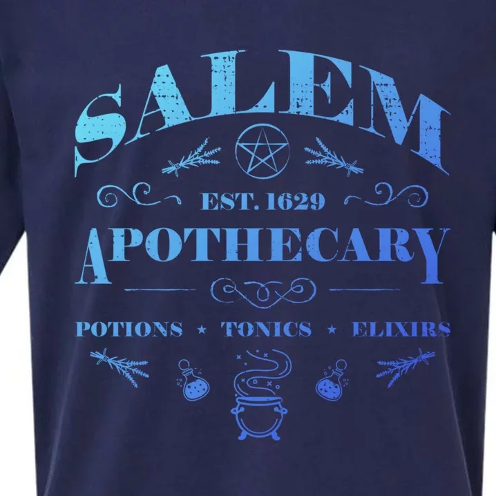 Salem Apothecary Funny Gift Sueded Cloud Jersey T-Shirt