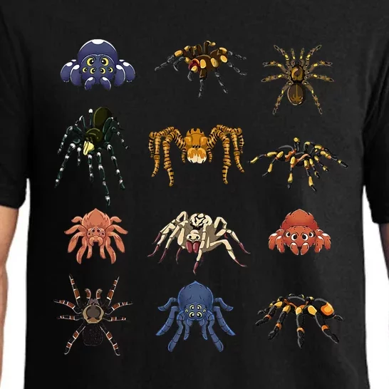 Spider Animal Gifts Black Short Sleeve  Tarantula Arthropod Spider For Arachnid Pajama Set