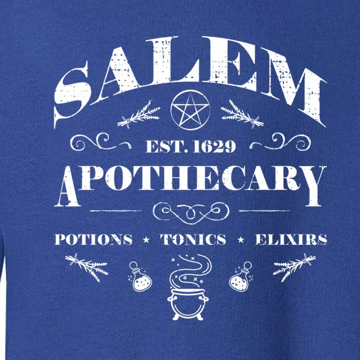 Salem Apothecary Great Gift Toddler Sweatshirt