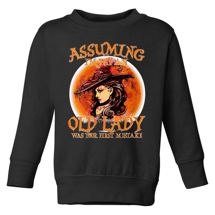 S Assuming IM Just An Old Lady Was Your First Mistake V Neck Toddler Sweatshirt