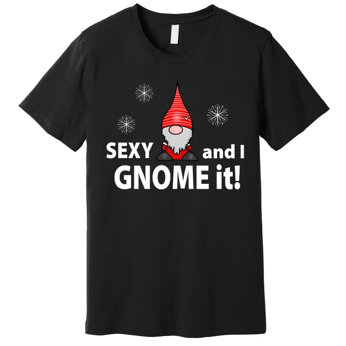 Sexy And I Gnome It Premium T-Shirt