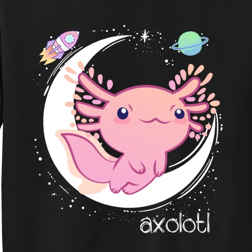 Space Axolotl Kawaii Pastel Goth | Japan Anime Comic Sweatshirt