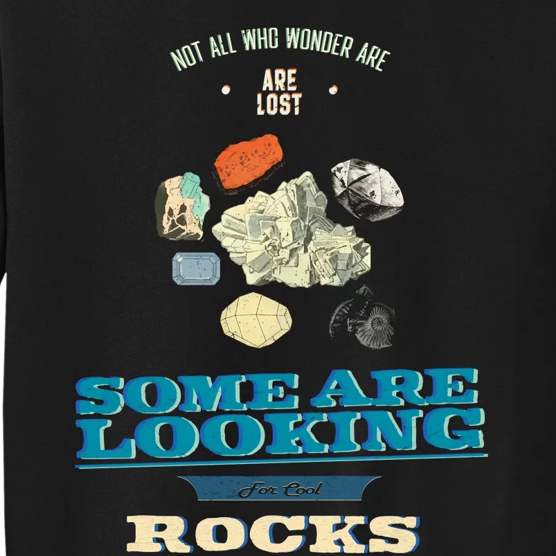 Some Are Looking For Cool Rocks Geologist Tall Sweatshirt