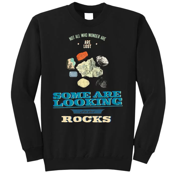 Some Are Looking For Cool Rocks Geologist Tall Sweatshirt