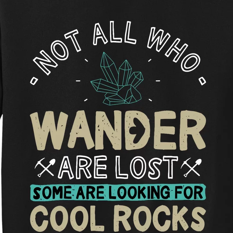 Some Are Looking For Cool Rocks Geologist Geode Hunter Tall Sweatshirt