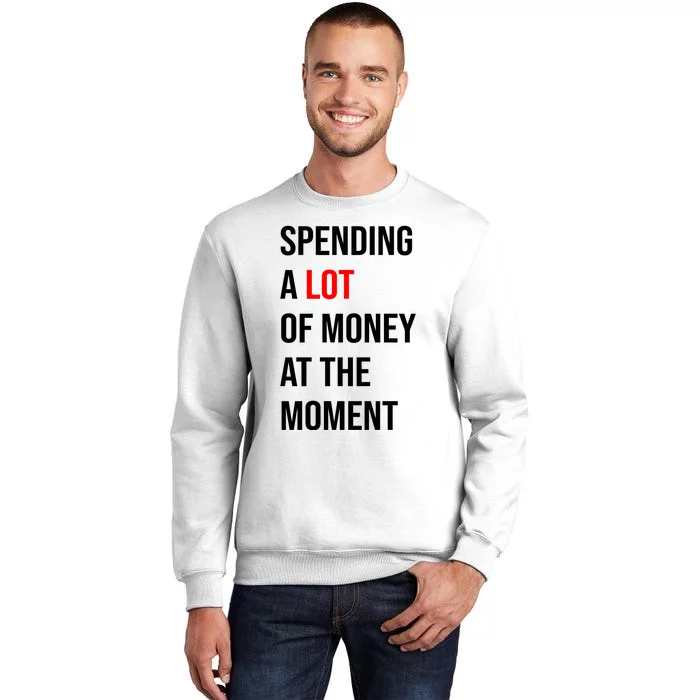 Spending A Lot Of Money At The Moment Sweatshirt