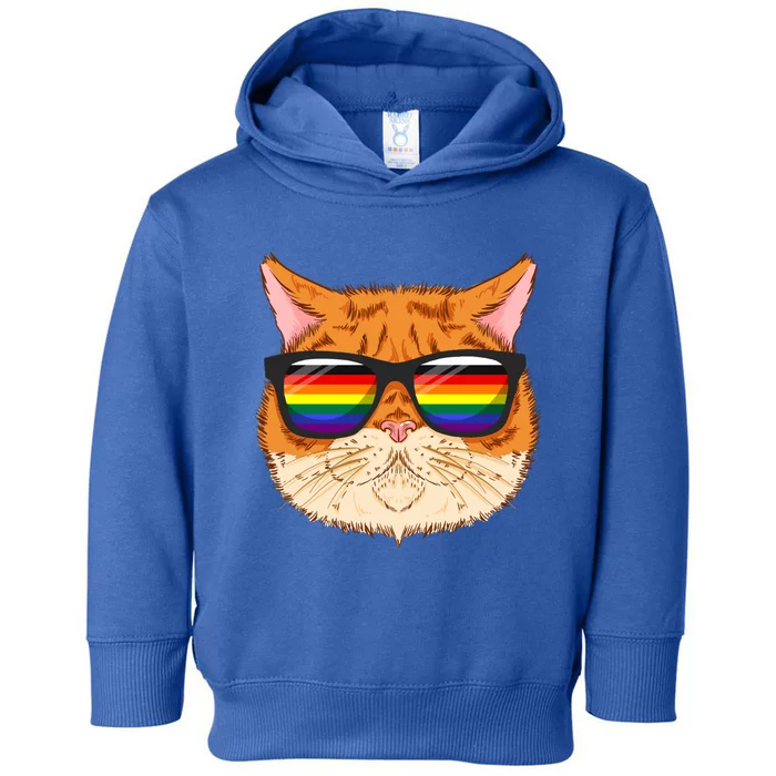 Straight Ally Lgbtq Cat Kitten Sunglasses Gay Pride Gift Toddler Hoodie