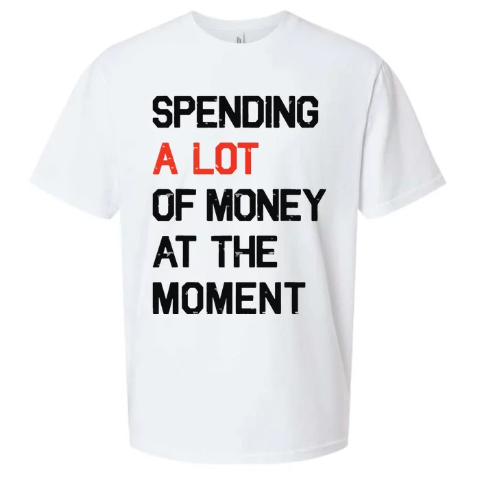 Spending A Lot Of Money At The Moment Sueded Cloud Jersey T-Shirt